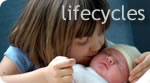 Lifecycles | From birth to death in Jewish tradition and practice | The covenant of circumcision | Bar & Bat Mitzvah Entering Adulthood | Kaddish Guide